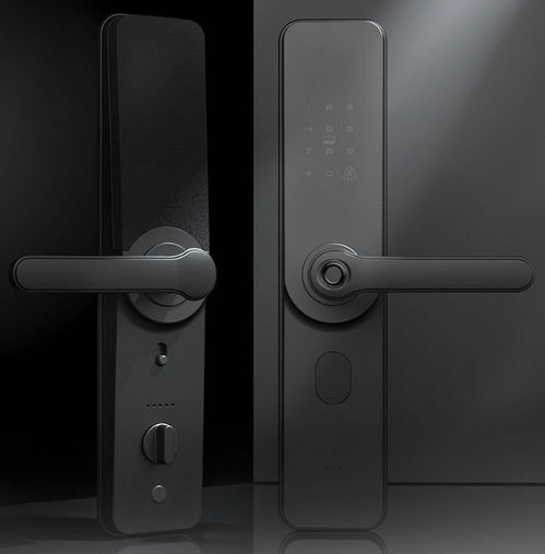 平价智能门锁推荐 好用又实惠的锁具选择指南