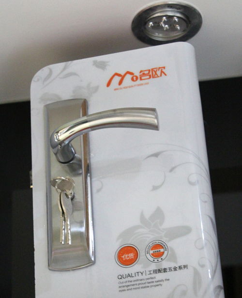 精工制造，安全守护 高端轴承锁具的零售新篇章